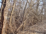 10084DSC02810.JPG