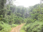 51089CIMG4862.JPG