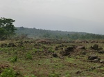 50698CIMG1327.JPG
