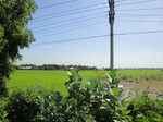 21332DSC00594.JPG