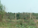 51556P1000728.JPG
