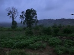 45871CIMG2956.JPG