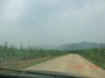 32625CIMG1744.JPG