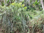 5522100_0892.JPG