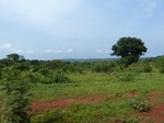 19710P1010559.JPG