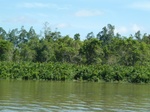 54638Bulungan (148).JPG