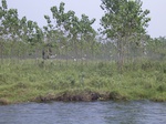 557R0015103.jpg