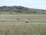 30121CIMG0266.JPG
