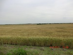 29626CIMG0895.JPG