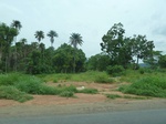 18452P1000288.JPG