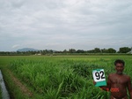 6408092c-irrigated-canal-mixedcrop-sugarcane-dominant-rice-singlecrop-cotton.jpg