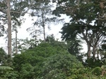 49237CIMG5574.JPG