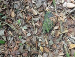46797DSC02135.JPG