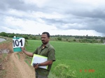123880101c-irrigated-canal-large-area-rice-singlecrop.gif