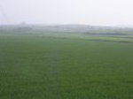 1175R0015037_small.jpg
