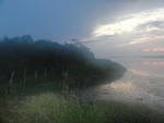 24864DSC01078.JPG