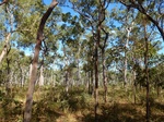 2012-08-28_20-34-44_P1010127.jpg