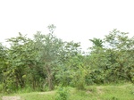 18620P1000457.JPG