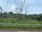 20106P1010957.JPG