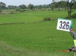 131780326a-irrigated-canal-rice.gif