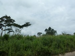20036P1010886.JPG
