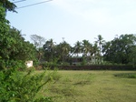 1716019042008(75).JPG