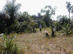 12086GT028_Hyromorphic_Valley_Bottom.JPG