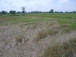 34543RIMG0008.JPG