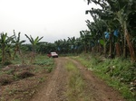 50781CIMG1410.JPG