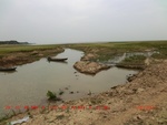 38926CIMG4825.gps.jpg