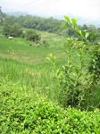 15236IMG_4058.JPG