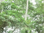 48167CIMG4504.JPG