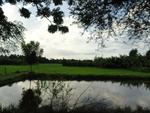 26033DSC00452.JPG