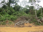 47256CIMG3593.JPG