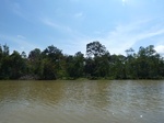 54631Bulungan (139).JPG