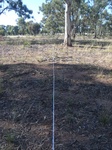 51477Vic003_L3.JPG