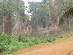 48949CIMG5286.JPG