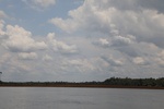 2024-10-10_17-12-21_A81FD8AA-6409-4BB2-8A14-AC1F2FFA1747.jpeg