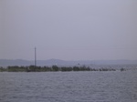 731R0015239.jpg