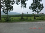 32698CIMG1829.JPG