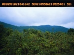 40519PSN00003.JPG