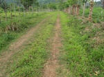 32013IMG_5546.JPG