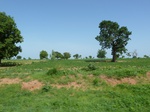19462P1010309.JPG