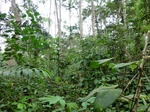 45972CIMG0261.JPG