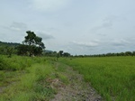 18461P1000297.JPG