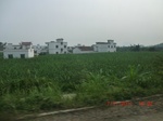32737CIMG1869.JPG