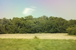 2024-06-17_21-44-23_D1CAF7CE-9E3A-436F-A489-A19130219083.jpeg