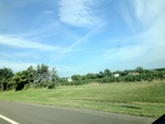 57956IMG_0919.JPG