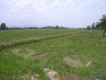 28275RIMG0277.JPG