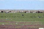 26815IMG_3195.JPG